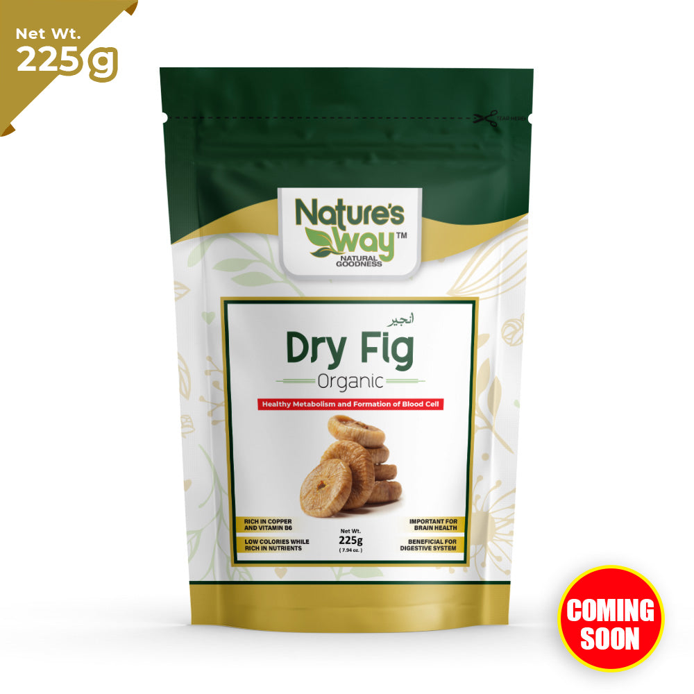 Dry Fig